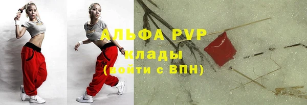 прущие крисы Новокубанск