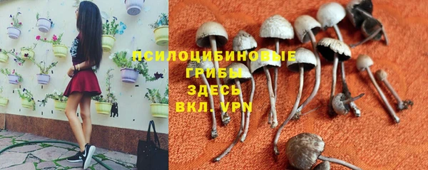 мяу мяу мука Новозыбков